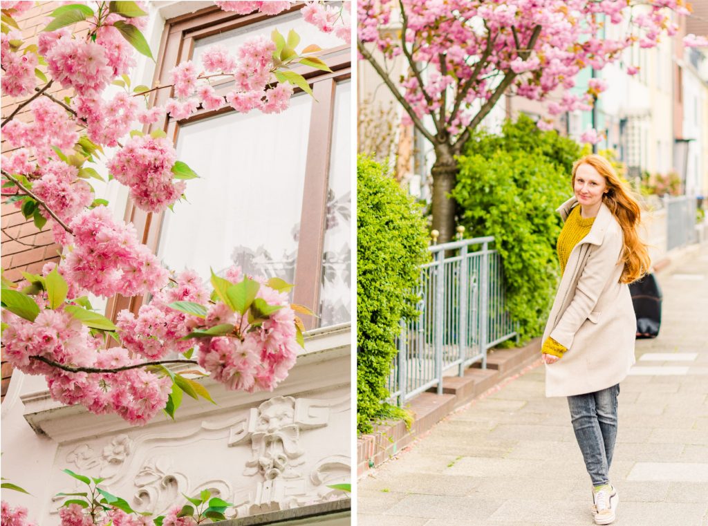 Fotoinspiration Finndorf Bremen im Frühling: rosa Blühende Bäume